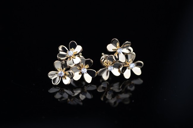 Louis Vuitton Earrings CE9029