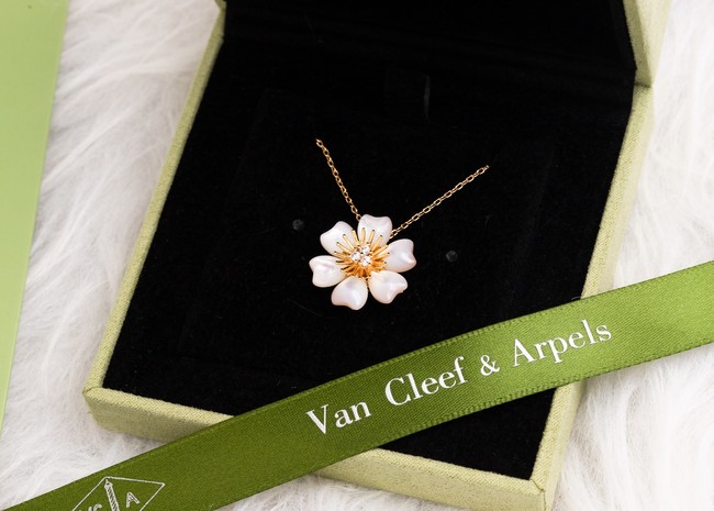 Van Cleef & Arpels Necklace CE9028