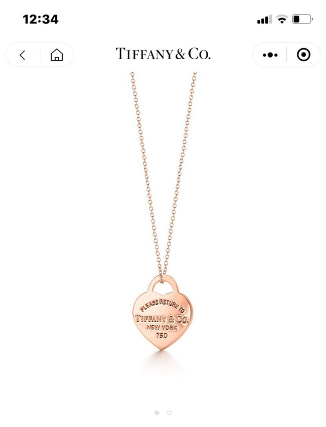 TIFFANY Necklace CE9065