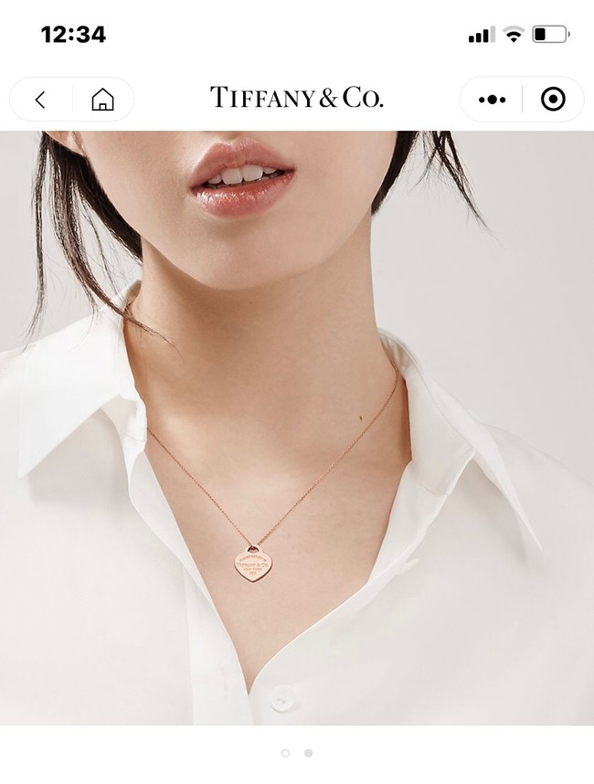 TIFFANY Necklace CE9065