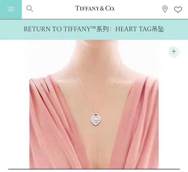 TIFFANY Necklace CE9065