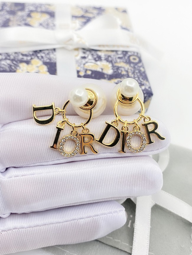 Dior Earrings CE9110