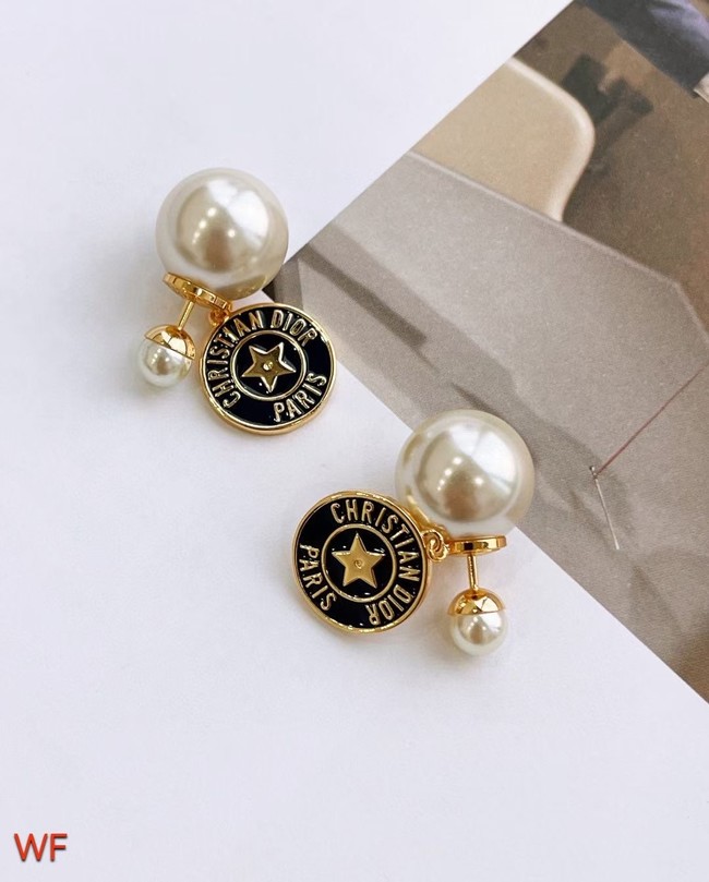 Dior Earrings CE9114