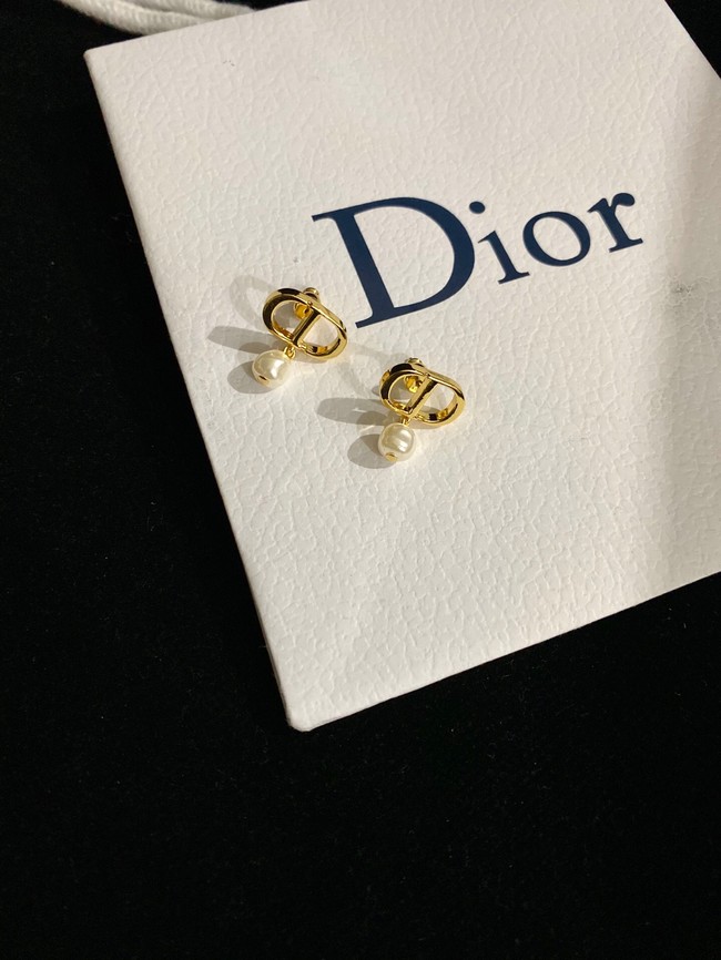 Dior Earrings CE9120