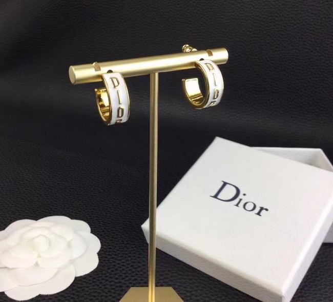 Dior Earrings CE9153