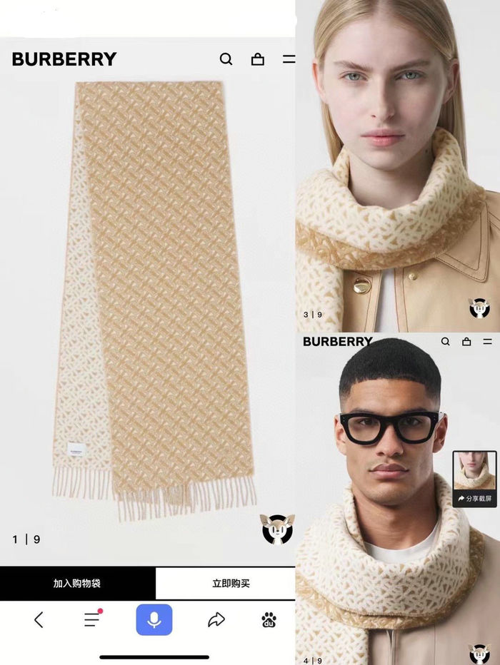 Burberry Scarf BBC00004