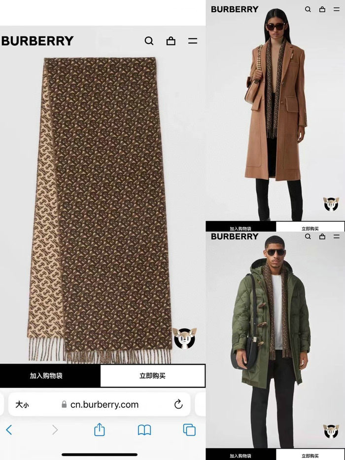 Burberry Scarf BBC00006