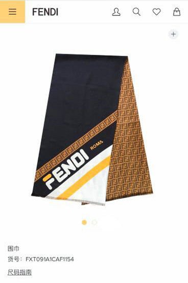 Fendi Scarf FDC00016