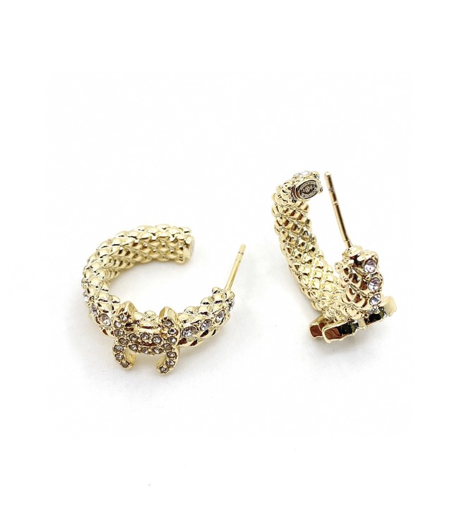 Chanel Earrings CE9260