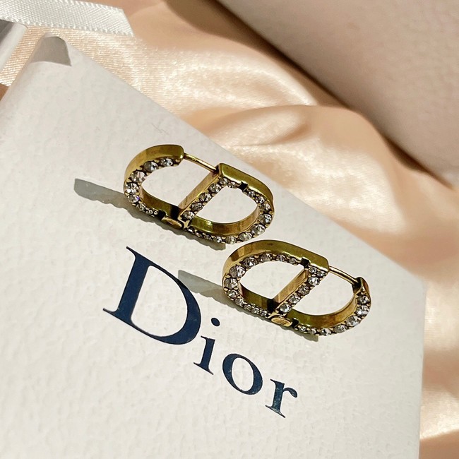 Dior Earrings CE9255