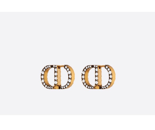 Dior Earrings CE9255