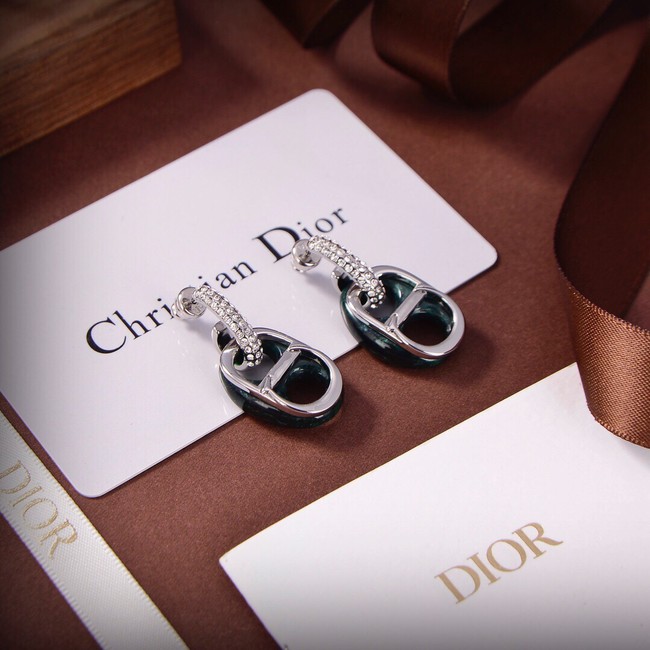 Dior Earrings CE9309