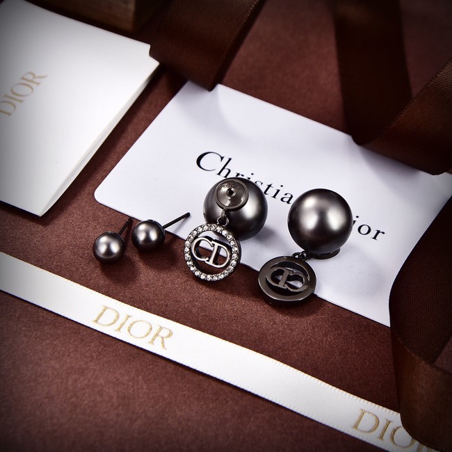 Dior Earrings CE9311