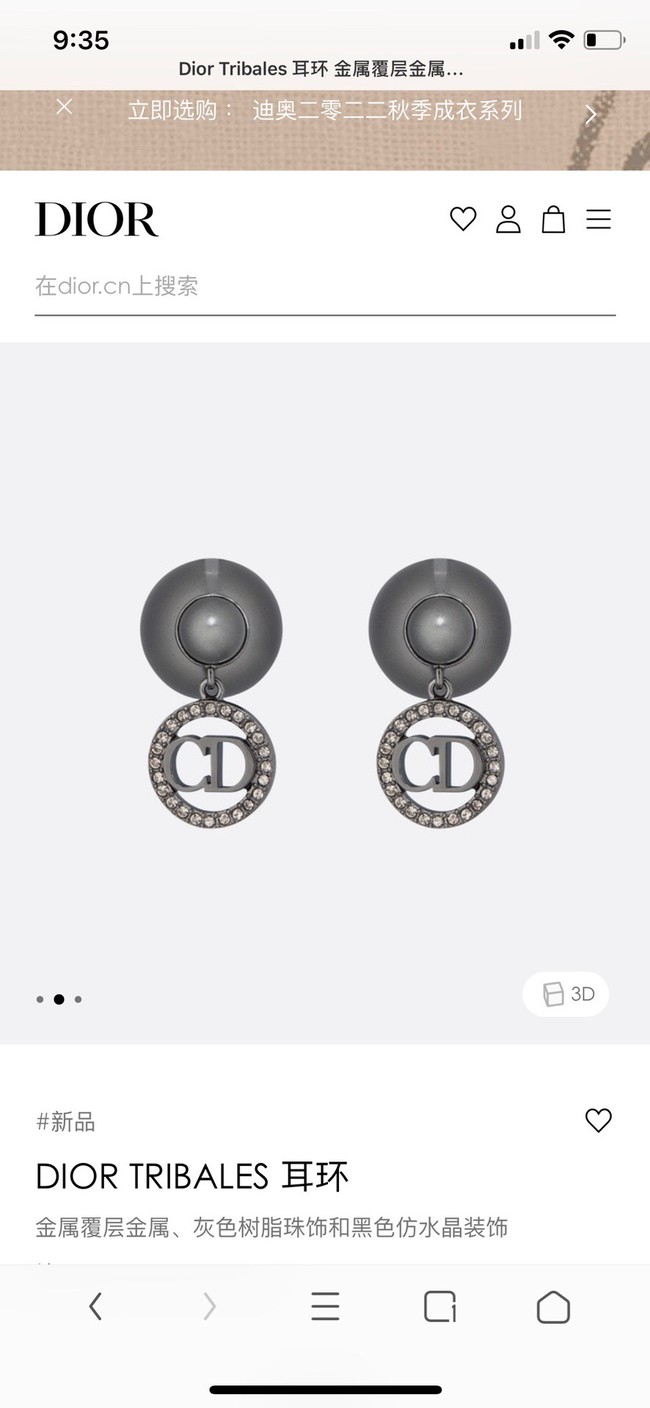 Dior Earrings CE9311