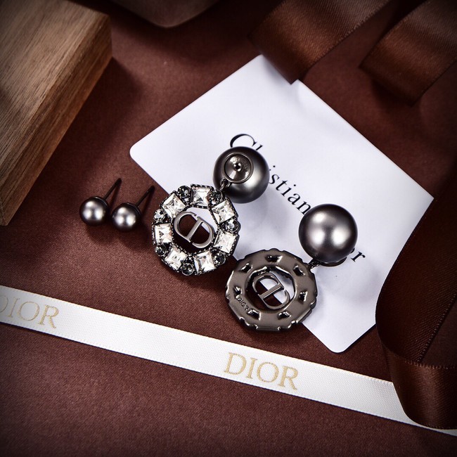 Dior Earrings CE9312