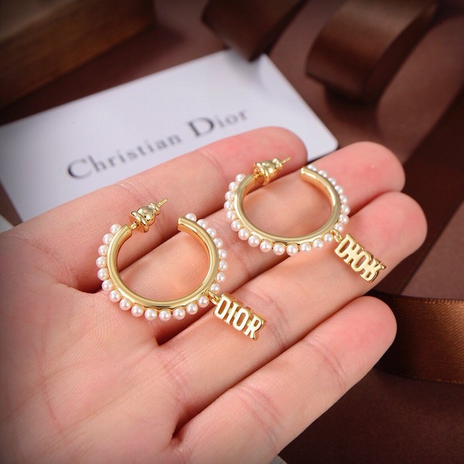 Dior Earrings CE9313