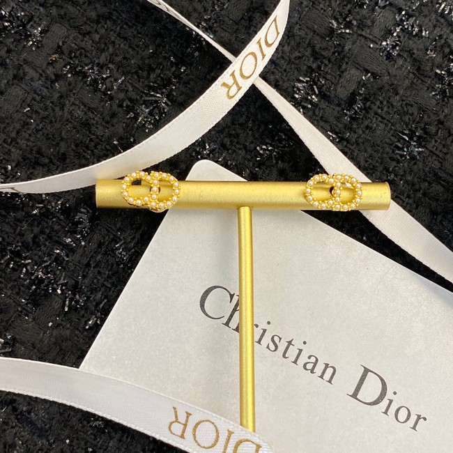 Dior Earrings CE9404