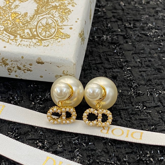 Dior Earrings CE9410