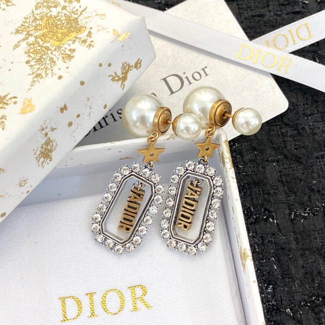 Dior Earrings CE9412