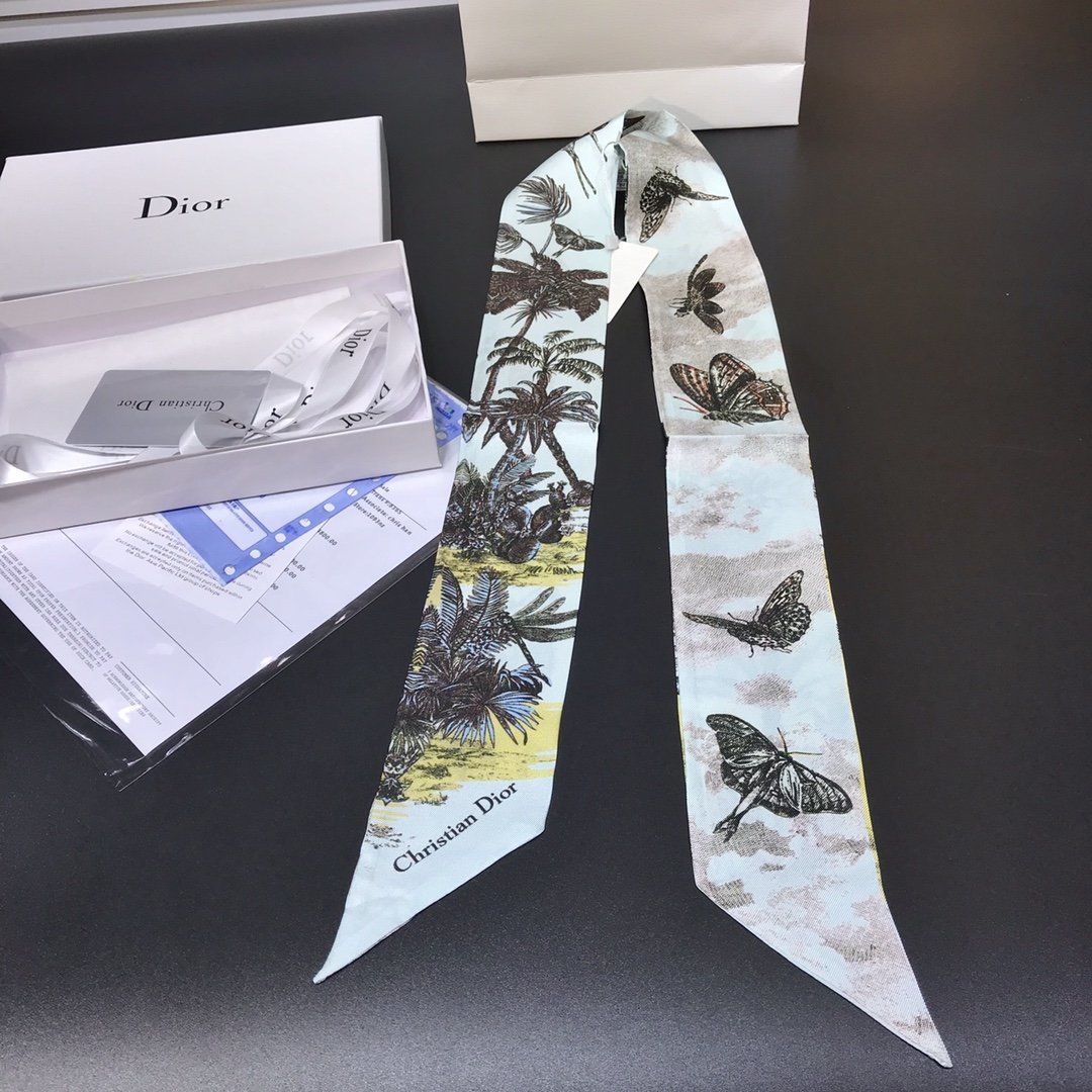 Dior Scarf DIC00004