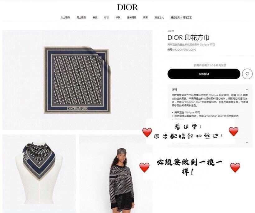 Dior Scarf DIC00051