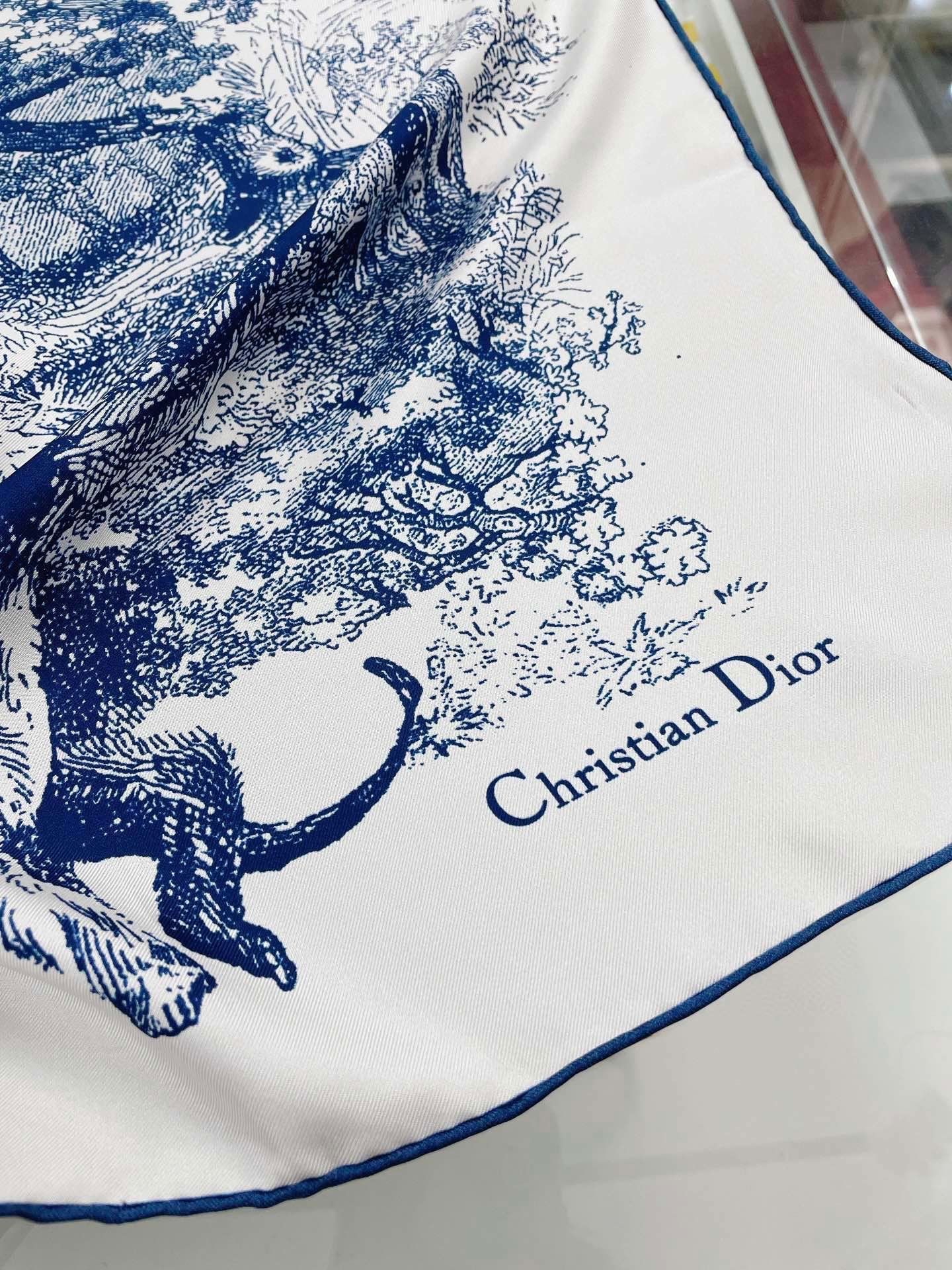 Dior Scarf DIC00061