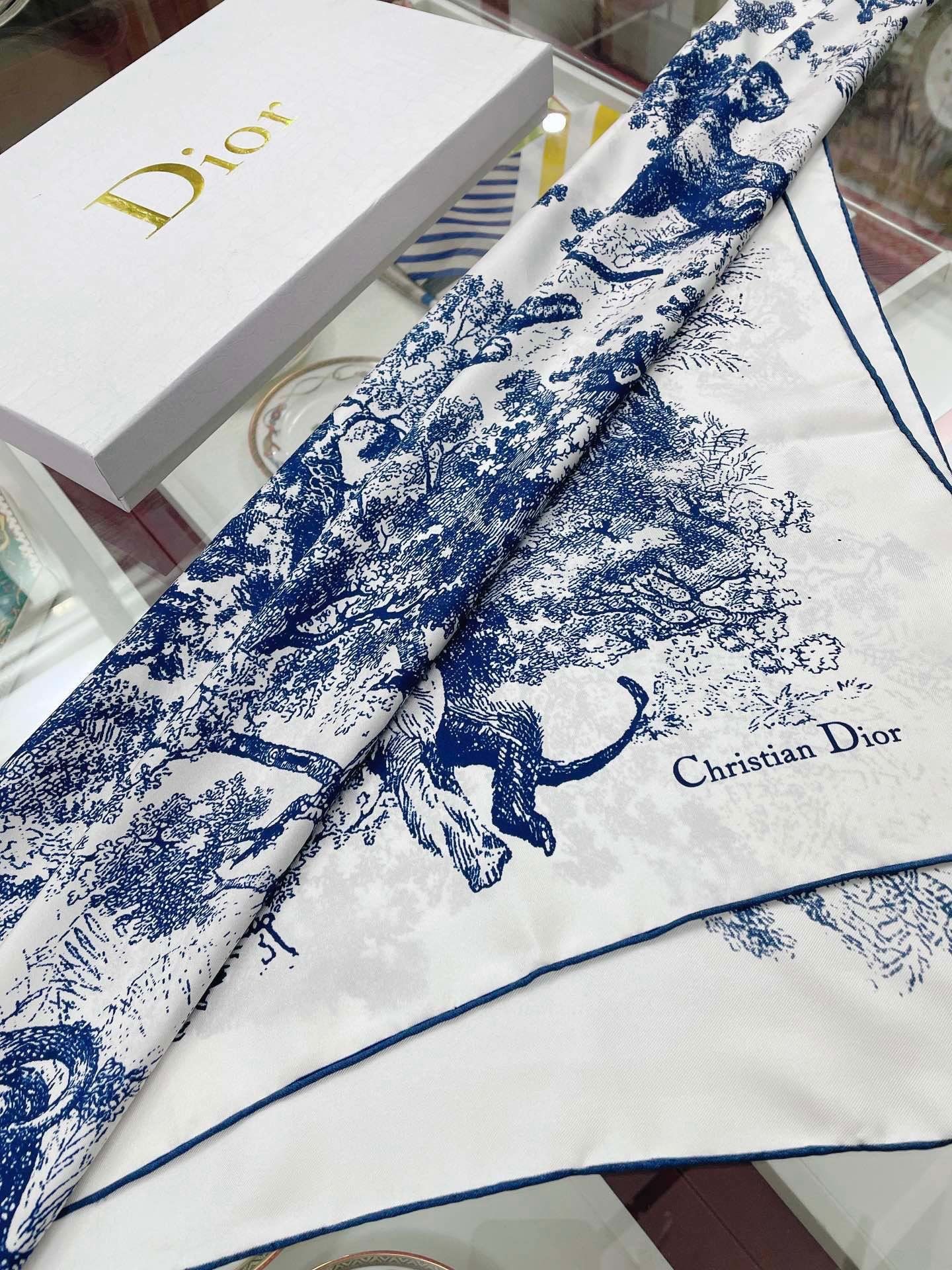 Dior Scarf DIC00061