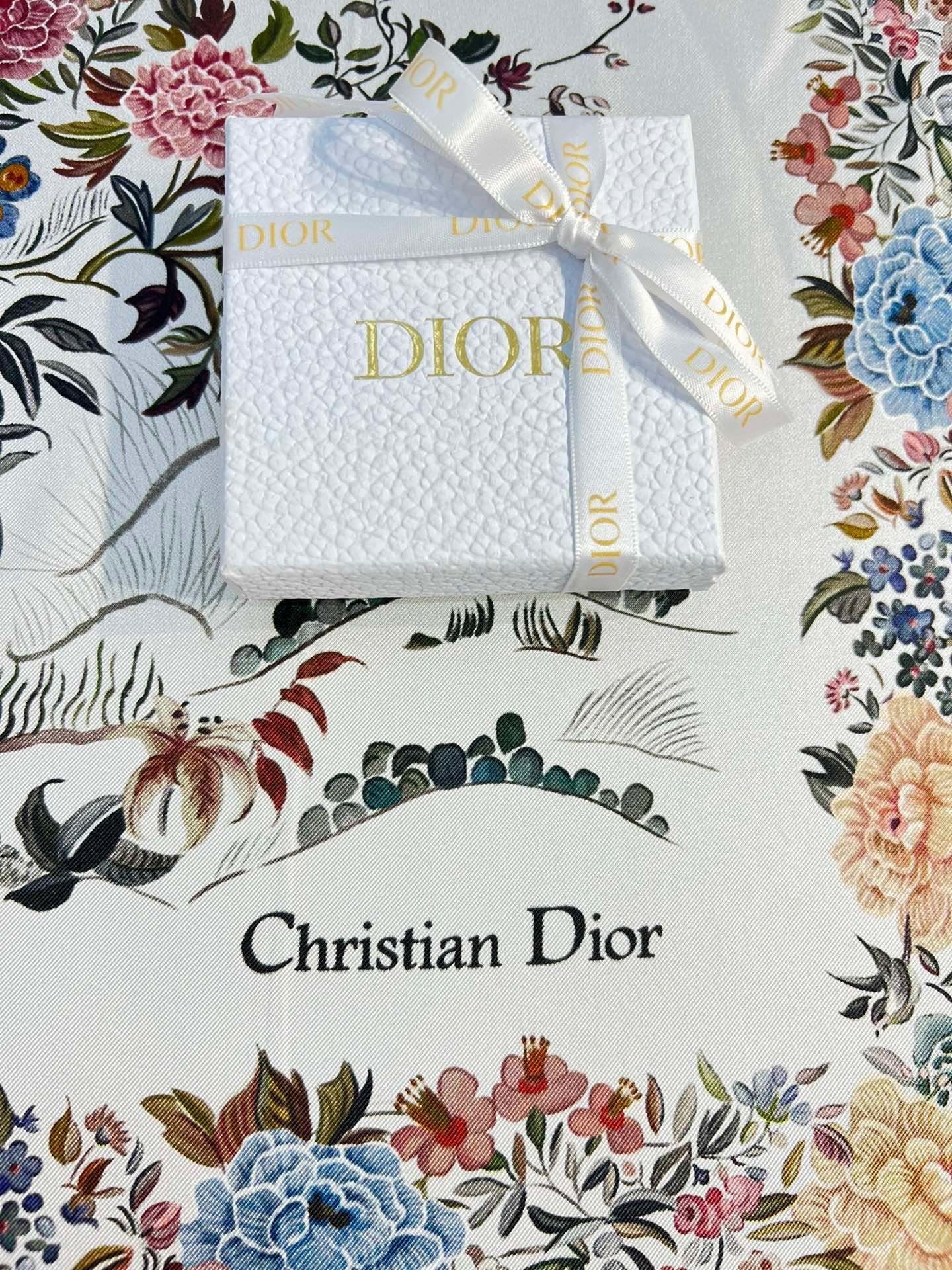 Dior Scarf DIC00077