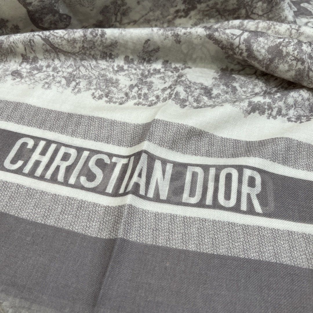 Dior Scarf DIC00080