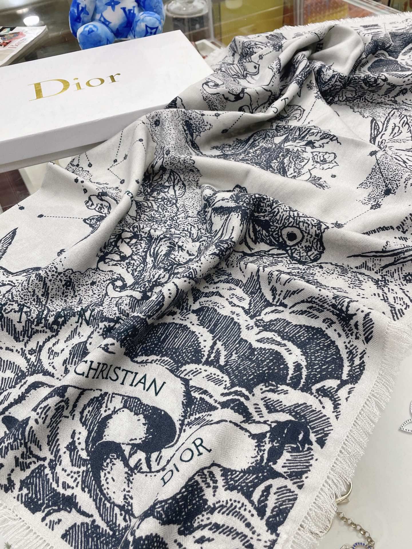 Dior Scarf DIC00088