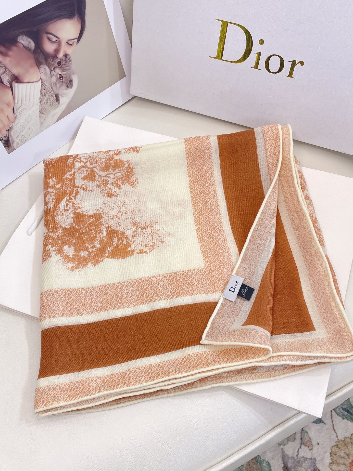 Dior Scarf DIC00126