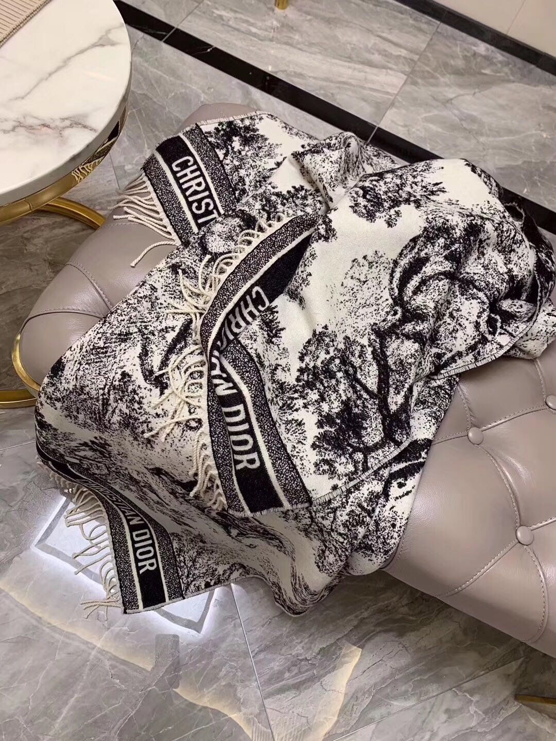 Dior Scarf DIC00136