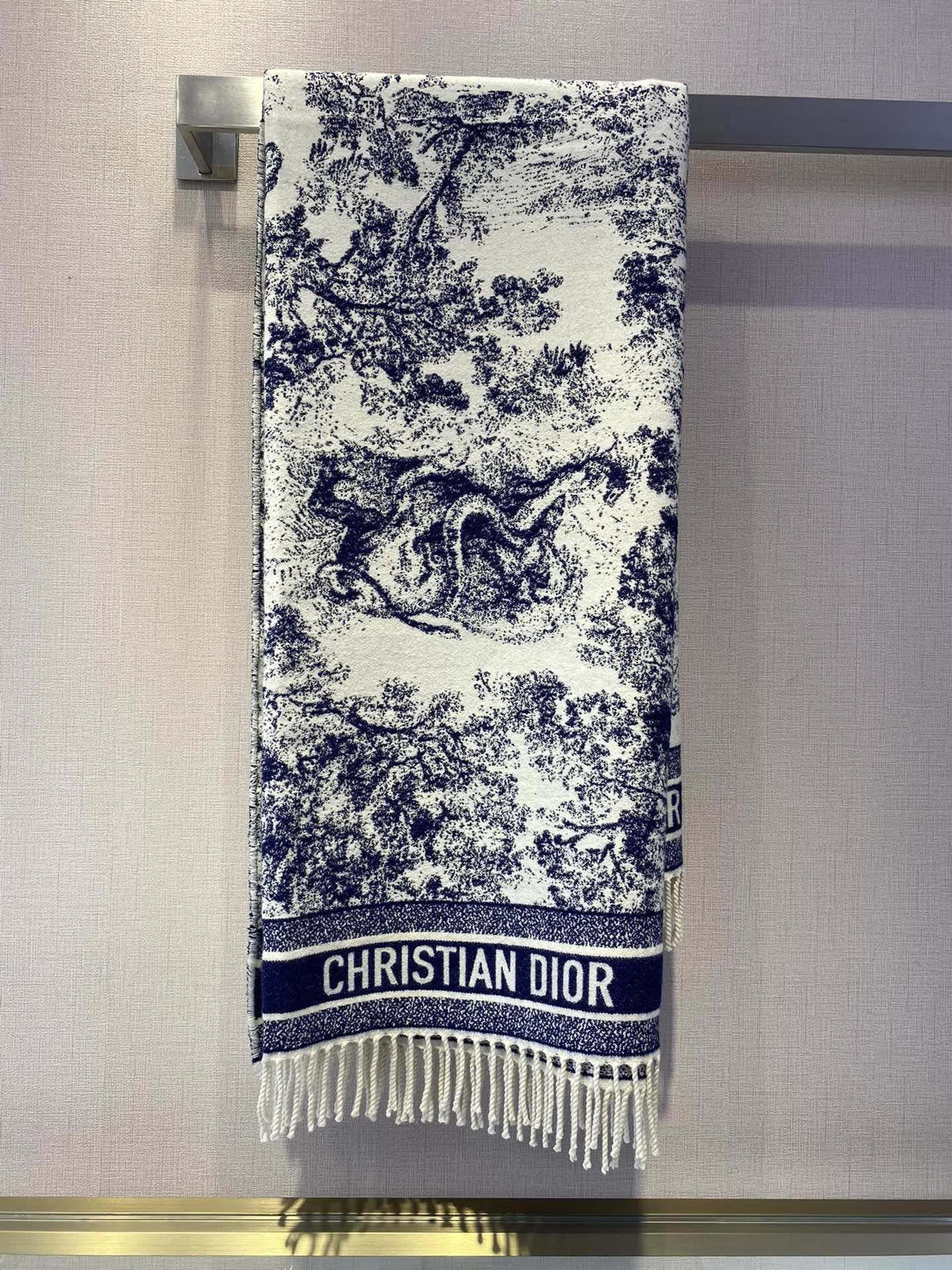 Dior Scarf DIC00140