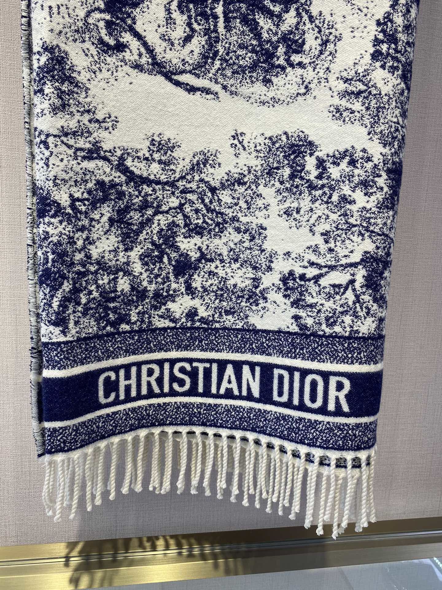 Dior Scarf DIC00140