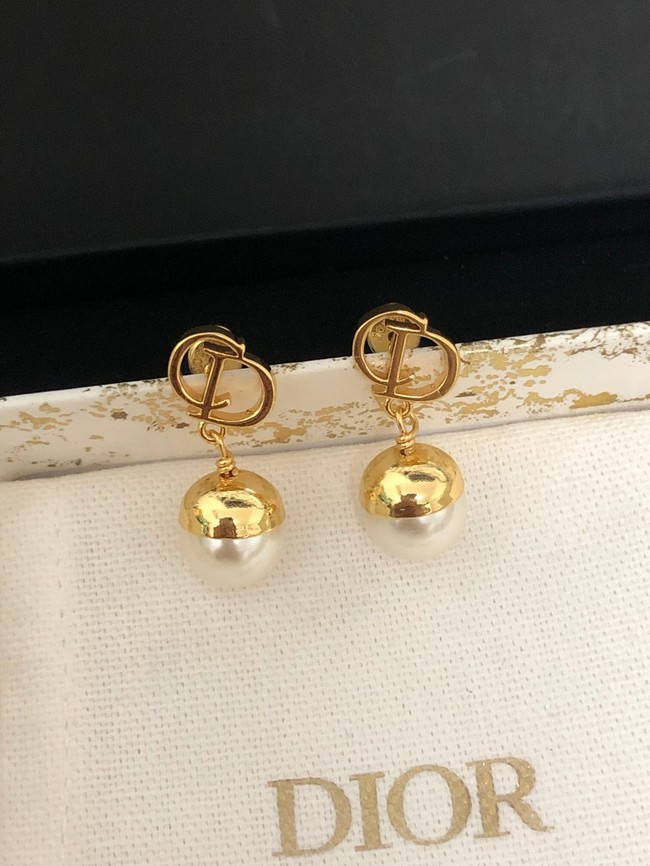 Dior Earrings CE9446