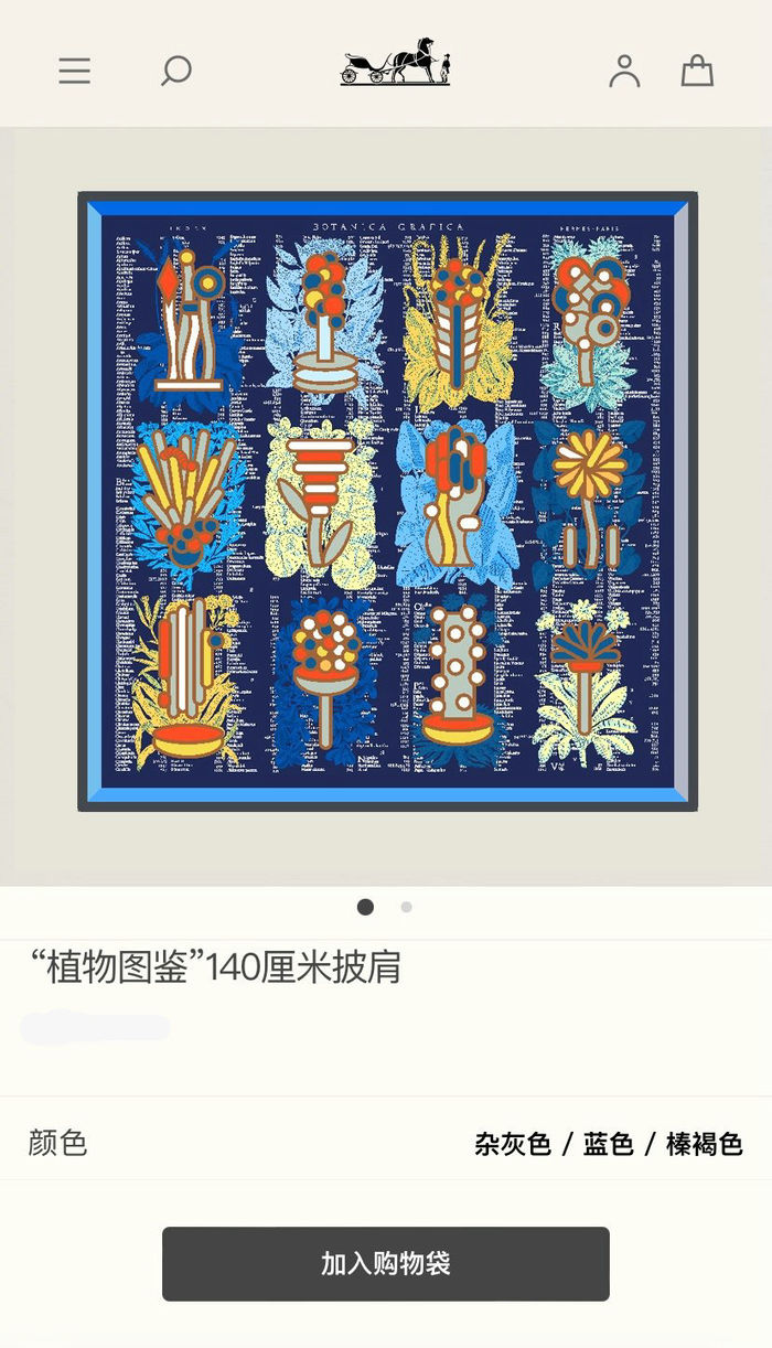 Hermes Scarf HEC00419