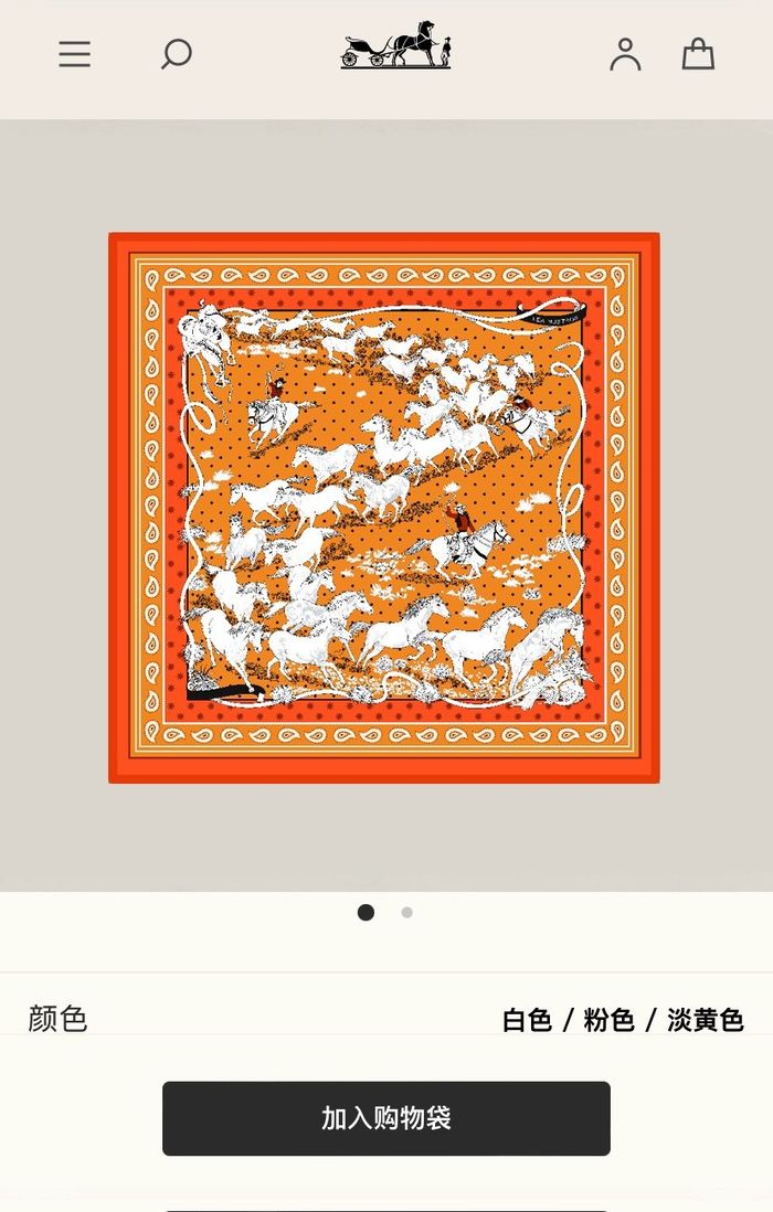 Hermes Scarf HEC00426