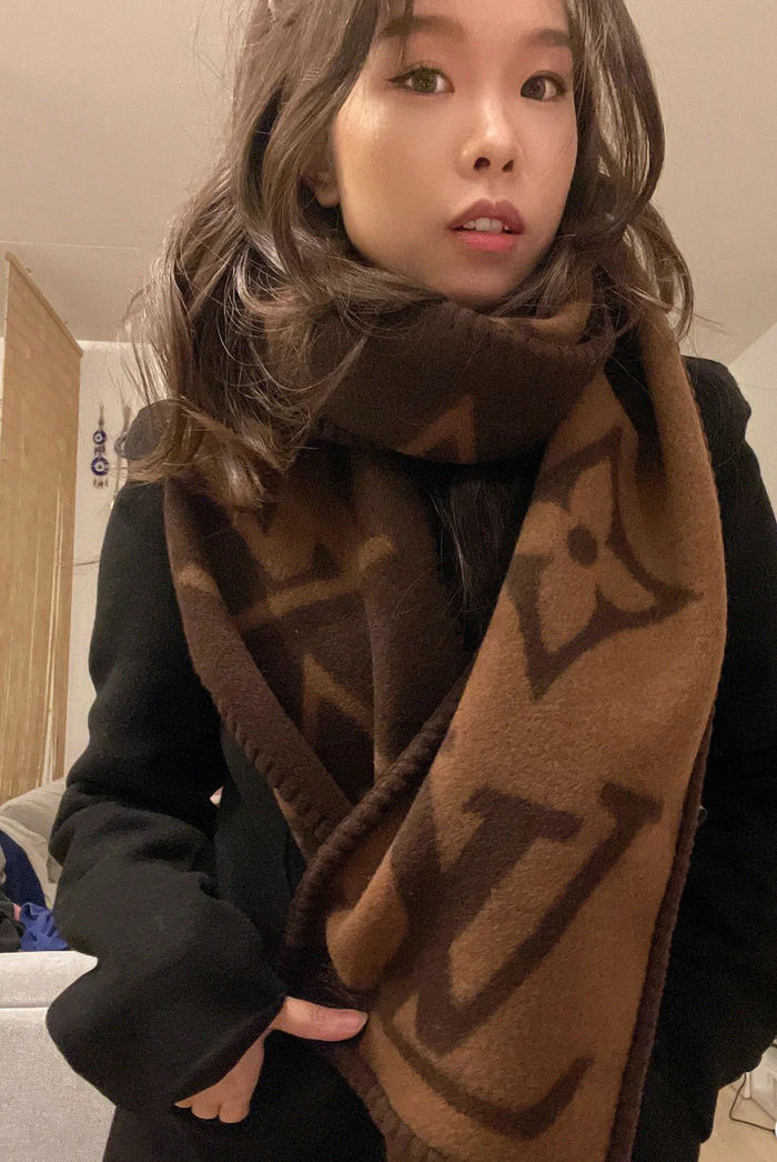 Louis Vuitton Scarf LVC00019