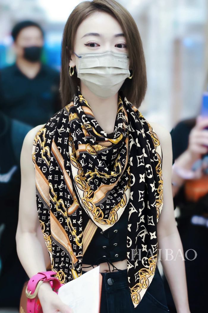 Louis Vuitton Scarf LVC00296