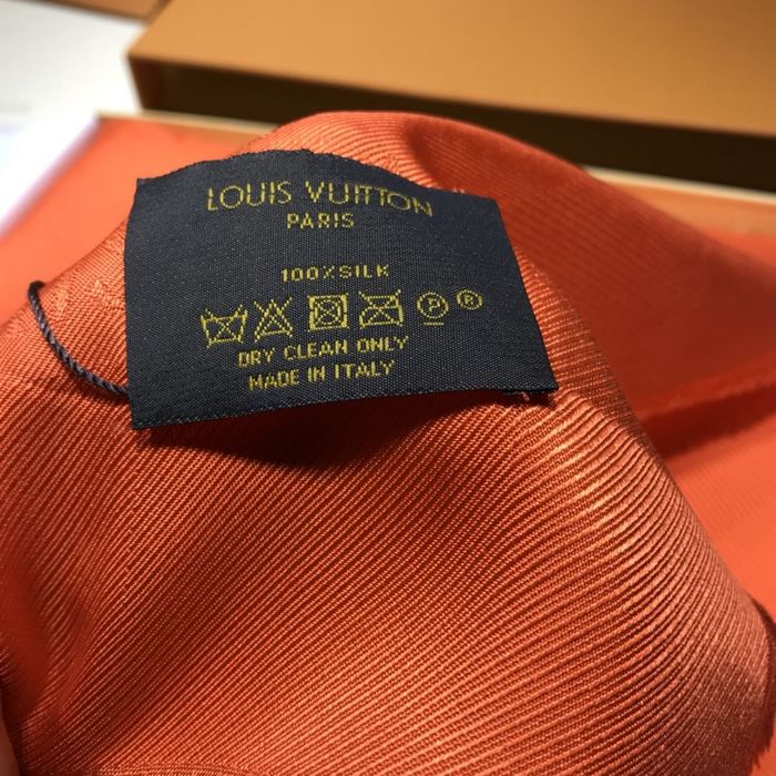 Louis Vuitton Scarf LVC00301