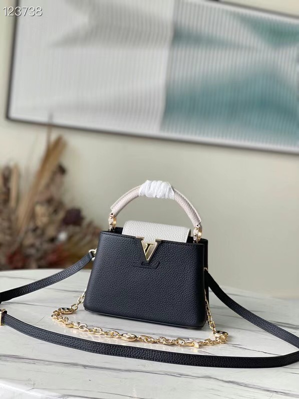 Louis Vuitton CAPUCINES MINI M20708 Black&white