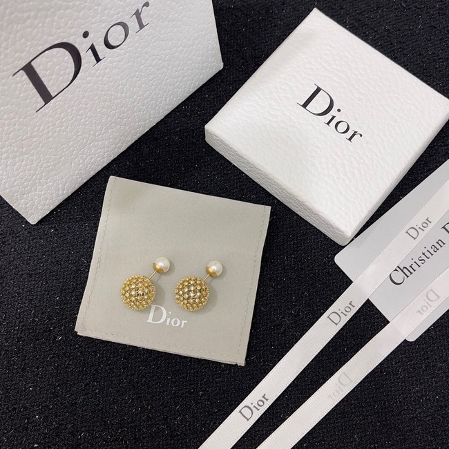 Dior Earrings CE9495