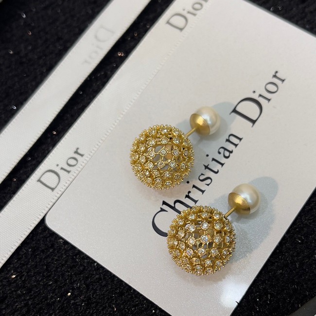 Dior Earrings CE9495