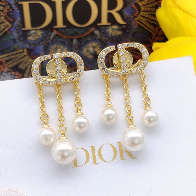 Dior Earrings CE9503