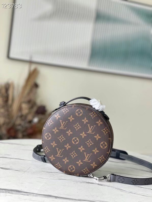 Louis Vuitton AUDIO CASE M46273