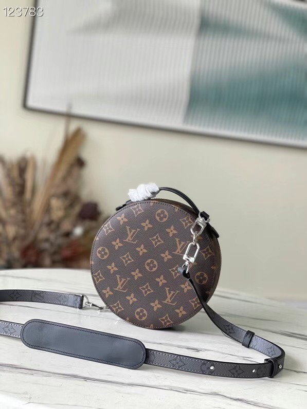 Louis Vuitton AUDIO CASE M46273