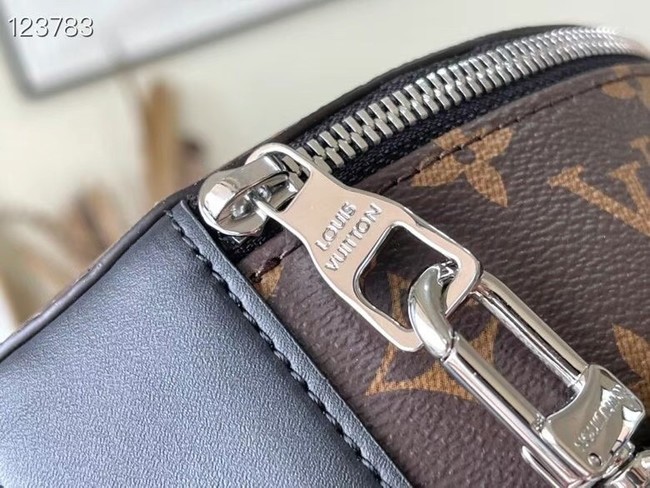 Louis Vuitton AUDIO CASE M46273