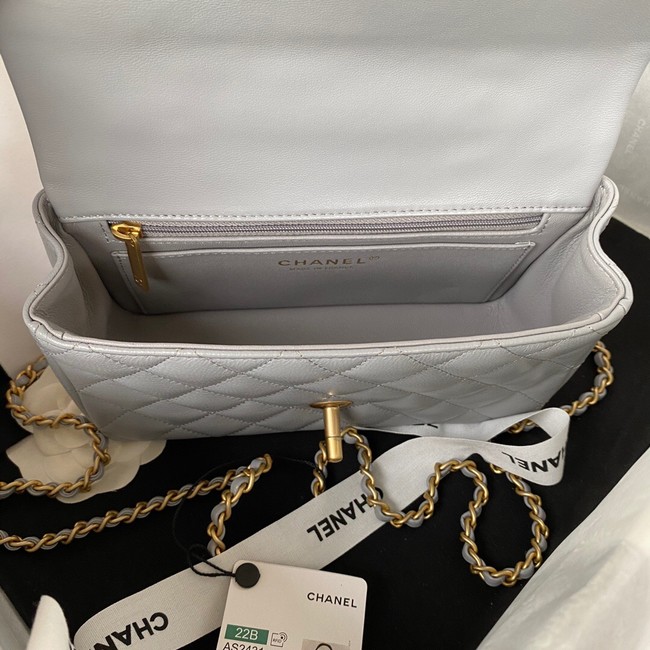 Chanel MINI FLAP BAG WITH TOP HANDLE AS2431 gray