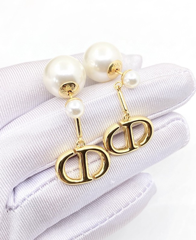 Dior Earrings CE9622