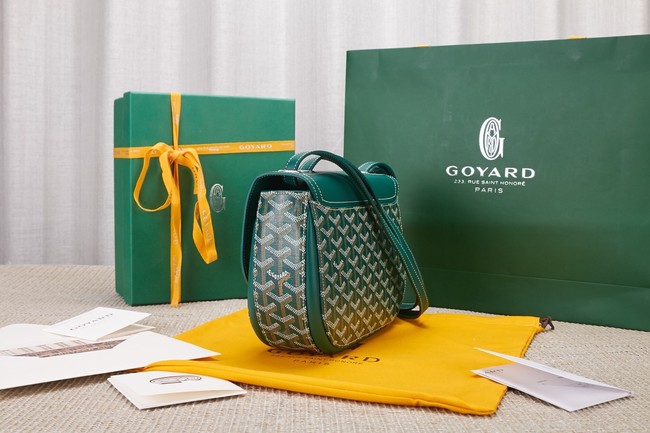 Goyard Calfskin Leather shoulder bag 9967 green